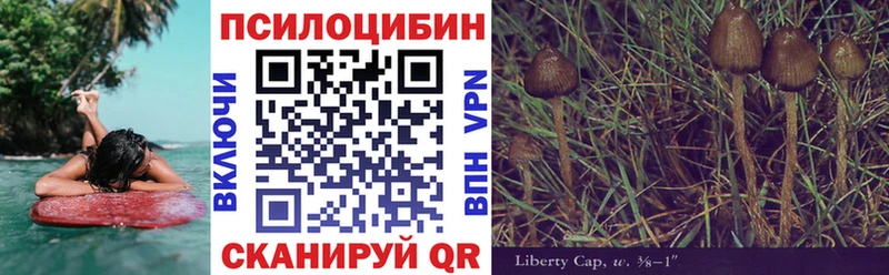 Псилоцибиновые грибы GOLDEN TEACHER  купить  сайты  нарко площадка клад  Шумерля 